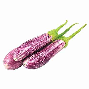Brinjals