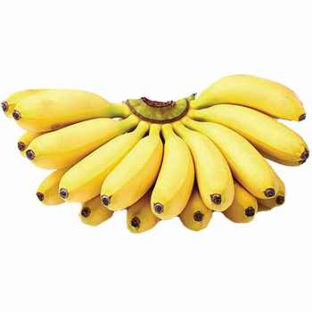 Banana - Ambul